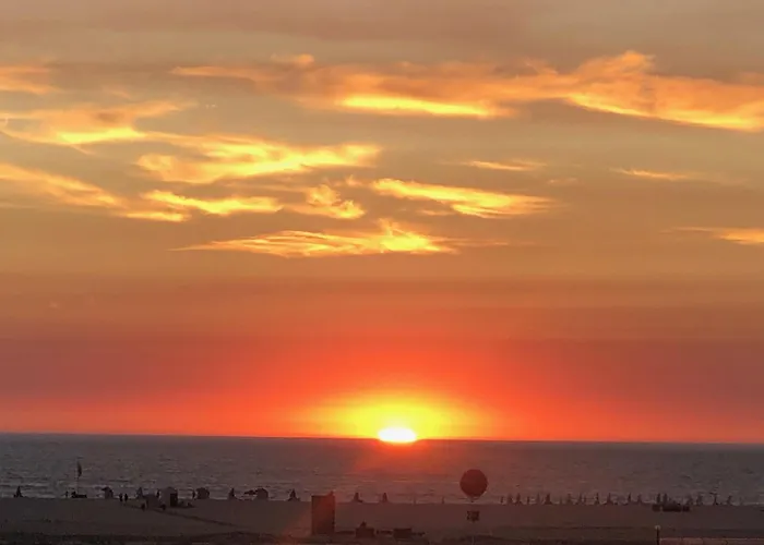 Victoria Regia By Ferias Em Figueira